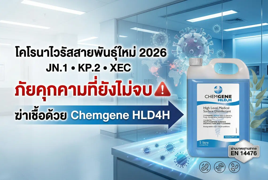 โคโรนาไวรัสสายพันธุ์ใหม่