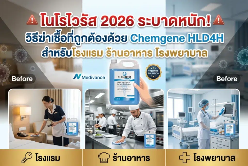โนโรไวรัส