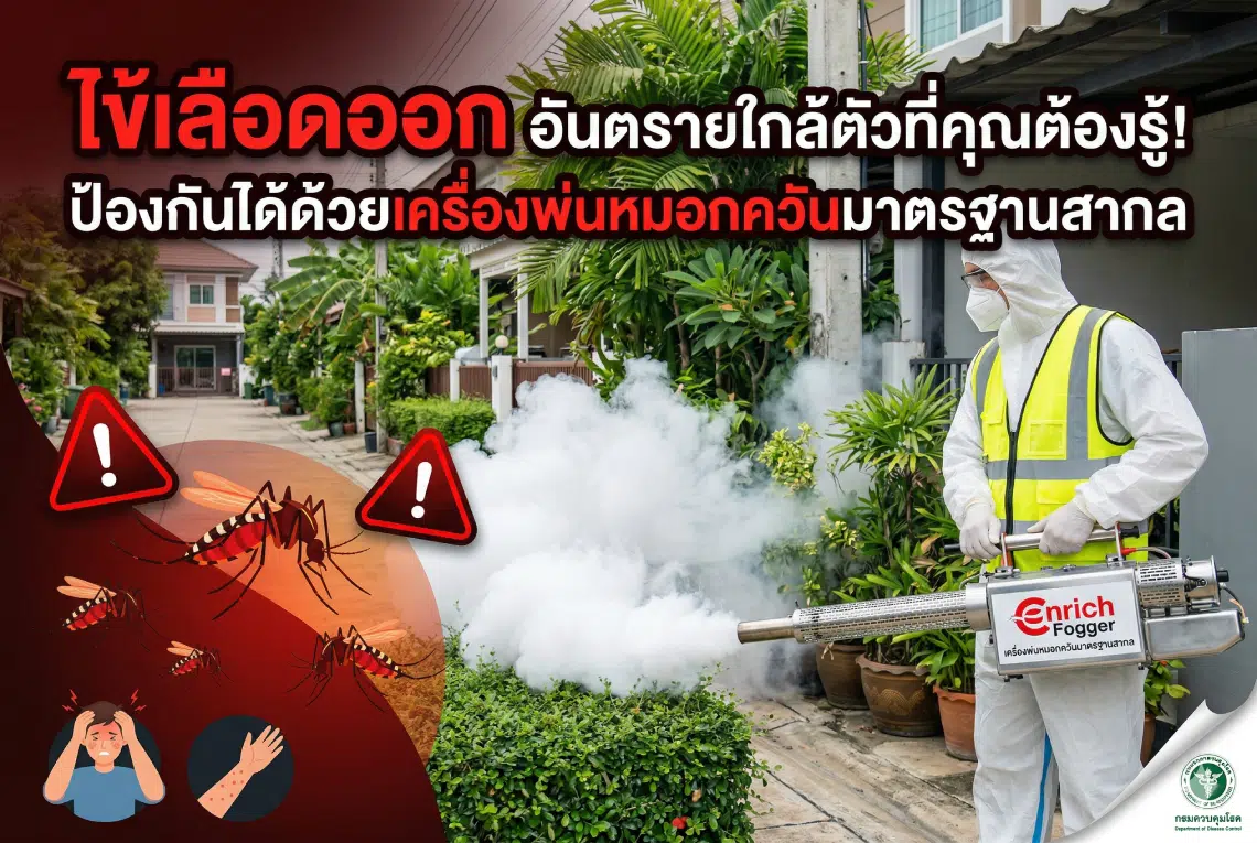 ไข้เลือดออก