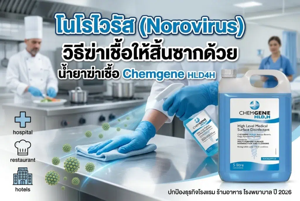 โนโรไวรัส Norovirus
