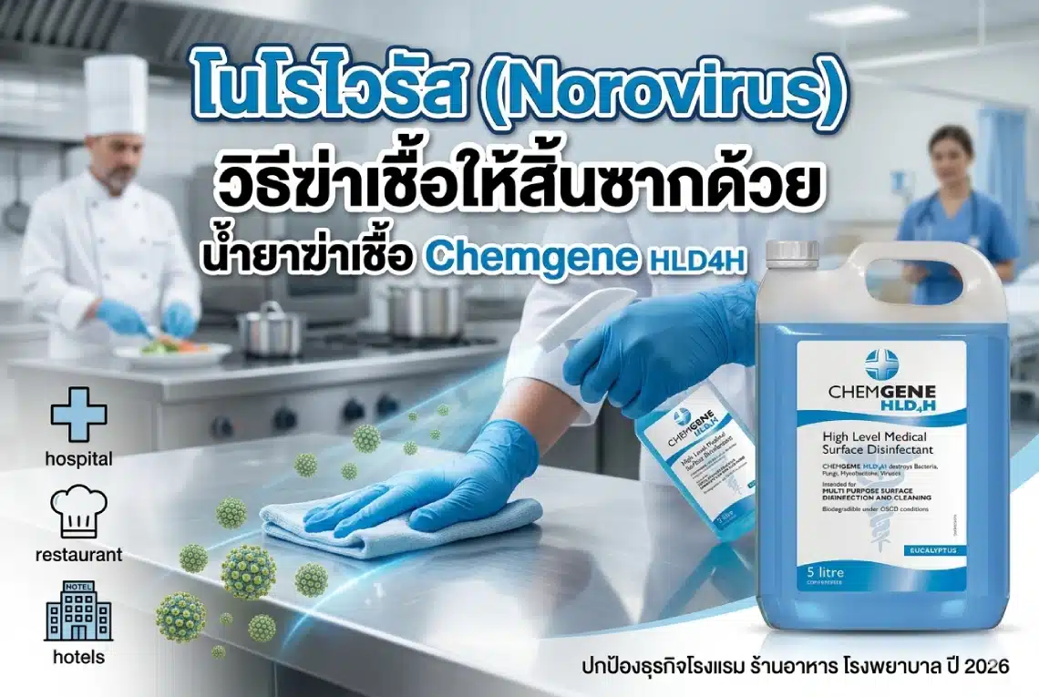 โนโรไวรัส Norovirus